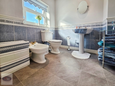 Picture 22